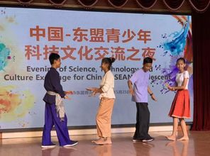 舞动友谊之光 东盟青少年在梧州八中共筑文化交流之夜