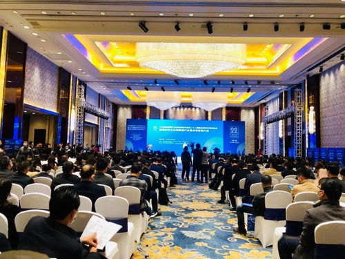 艺术新引擎，文旅新动能——文化与旅游部产业精品项目交流对接会在我市盛大举行